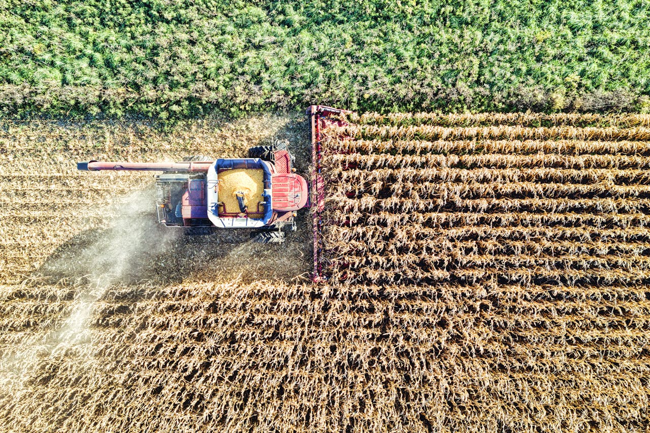 Seasonal Work Visa Italy Requirements - Agriculture Jobs: Your Complete Guide to Working Italy's Harvest